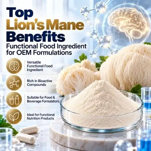 Top Lion’s Mane Benefits and Uses for Functional Food OEM Buyers